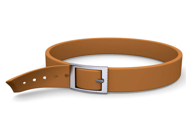 Tighten one's Belt - 3D