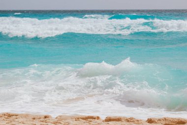 Güzel sahil ve tropikal deniz