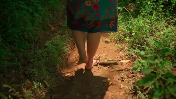 日中はピンクのドレスと緑のスカートで緑の茂みに満ちた森の中を歩くインドネシアの女性 — ストック動画