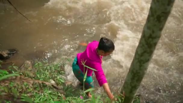 Asijské Žena Chůze Okraji Řeky Zatímco Sobě Růžové Šaty Zelená — Stock video