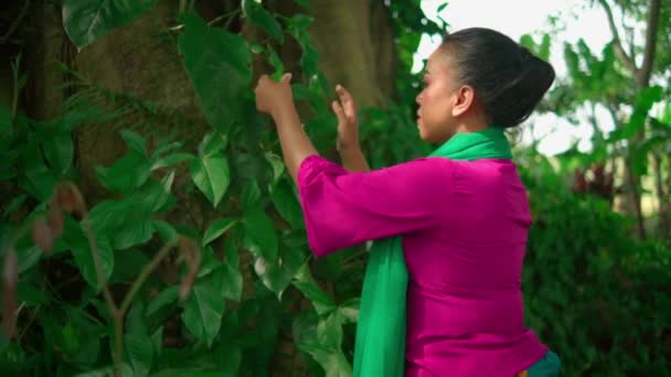 Eine Asiatin Berührt Die Grünen Blätter Großen Baum Während Sie — Stockvideo