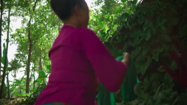 Donne Asiatiche Mettono Sciarpa Verde Terra Tra Foglie Verdi Prima — Video Stock