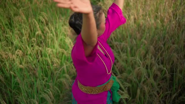 在村里的稻田里跳舞之前 一位美丽的巴厘女人穿着粉色连衣裙 系在身上的金腰带上 — 图库视频影像