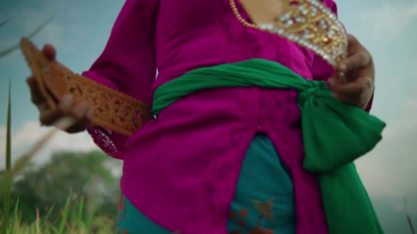 아름다운 가골짜기 논에서 드레스를 금띠를 — 비디오