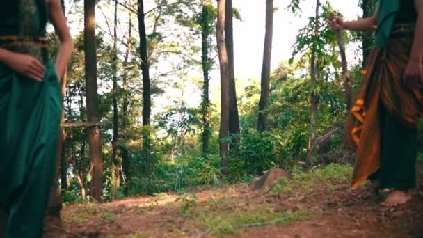 Asian Couple Meeting Together Middle Forest While Exploring Together Green — Vídeo de Stock