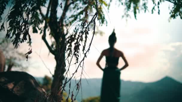 Asian Woman Long Dress Black Hair Standing Front Canyon Enjoy — Stockvideo