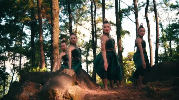 Bir Grup Asyalı Kadın Köydeki Festivalde Öğle Vakti Ormanın Içindeki — Stok video
