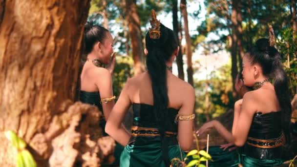 Bir Grup Asyalı Kadın Gün Işığında Ormanda Arkadaşlarıyla Buluşurken Yeşil — Stok video