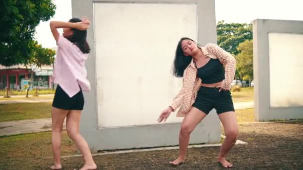 Grupo Mulheres Dançando Contemporaneamente Atrás Uma Mulher Triste Parque Durante — Vídeo de Stock