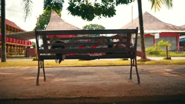 Asian Woman Lying Park Bench Large Shady Tree Alone Day — 图库视频影像