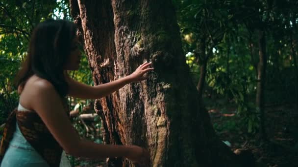 Azjatka Spaceruje Lesie Zatrzyma Się Przed Wielkim Drzewem Rano Cieszyć — Wideo stockowe