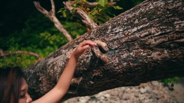 Woman Blonde Hair Holding Tree Trunk While Walking Island Vacation — Vídeo de Stock