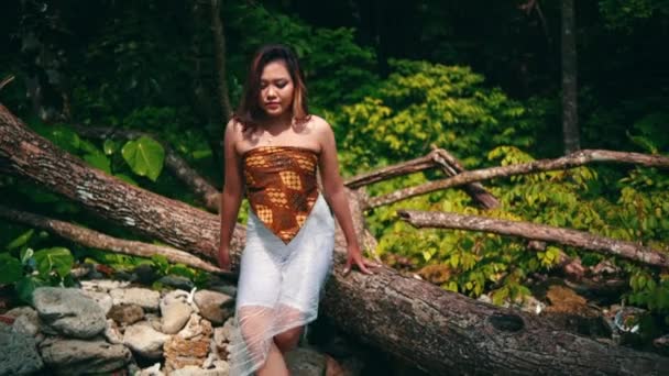 Asian Woman Who Sitting Tree Trunk Woke Walked Island Morning — Stock videók