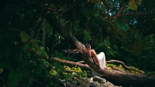 Азиатская Женщина Наслаждается Атмосферой Острова Спит Стволе Дерева Тихо Утром — стоковое видео