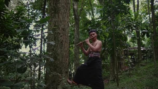 Bir Adam Sabahın Köründe Ağacın Yanında Yüksek Sesle Bambu Flüt — Stok video