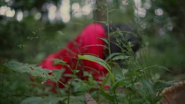 Seorang Wanita Asia Merasa Sakit Tengah Hutan Sambil Mengenakan Kemeja — Stok Video