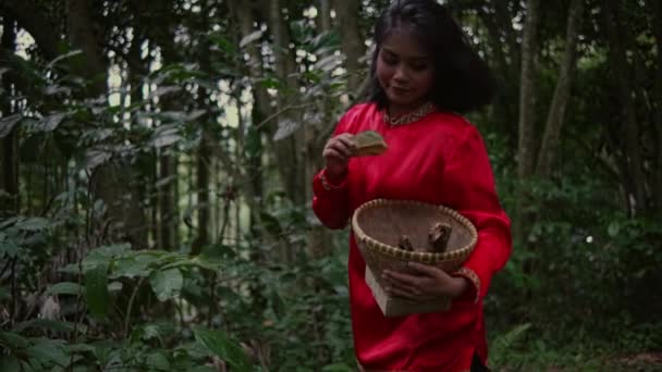 Asyalı Bir Kadın Sabah Tek Başına Ormanın Ortasında Yürürken Çok — Stok video
