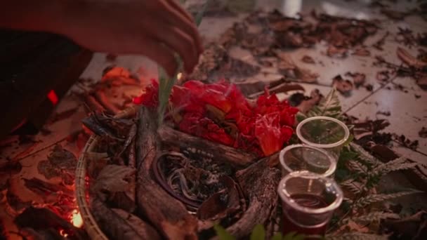 Zbliżenie Herbatę Wiklinowym Koszu Kadzidłem Podczas Satanistycznego Rytuału Wewnątrz Lasu — Wideo stockowe
