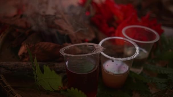 Zbliżenie Herbatę Wiklinowym Koszu Kadzidłem Podczas Satanistycznego Rytuału Wewnątrz Lasu — Wideo stockowe