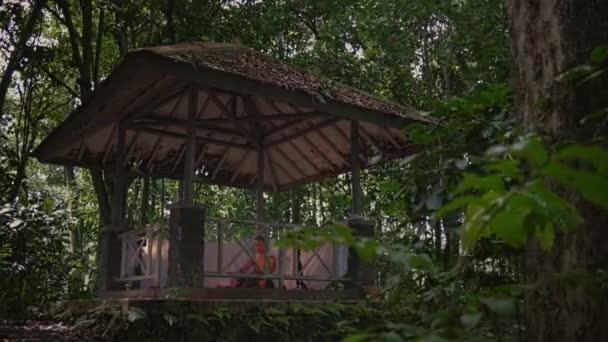 Egy Félelmetes Fából Készült Pavilon Erdő Közepén Délután — Stock videók