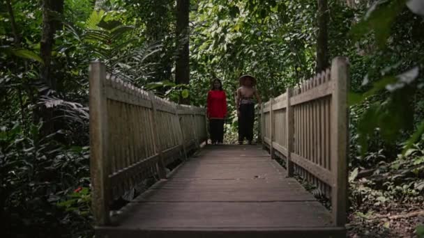 穿着传统服装的越南夫妇在丛林里的一座木桥上散步 — 图库视频影像
