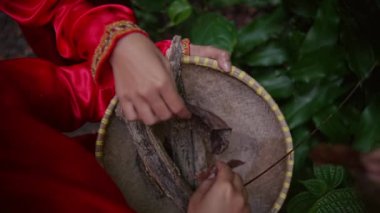 Asyalı bir kadın sabah bir ormanda arkadaşlarıyla yaprak ve dal topluyor.