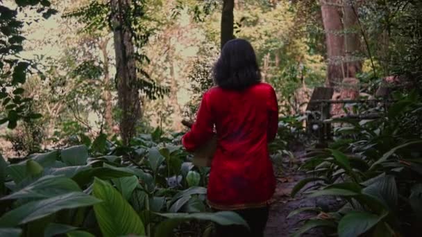 Una Chica Asiática Vestido Rojo Camina Hacia Bosque Mientras Sostiene — Vídeos de Stock