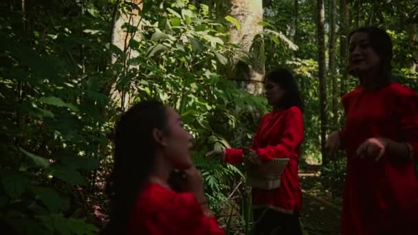 朝に熱帯雨林の友人と葉を摘む赤いレインコートのアジア系女性の美しいグループ — ストック動画