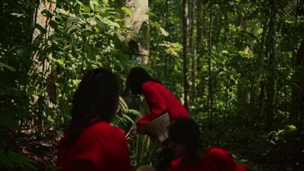 一群穿着红色雨衣的美丽的亚洲女人在热带雨林与朋友一起采摘一片叶子 — 图库视频影像