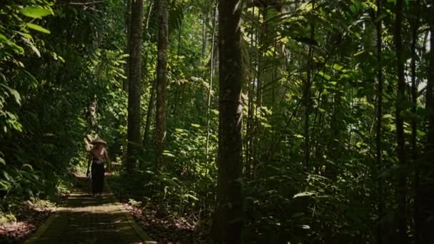 一个戴着草帽和赤身裸体的小男孩独自在森林里散步 — 图库视频影像