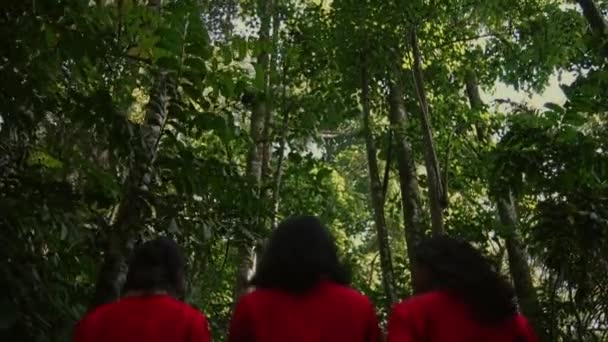 一群身穿红色传统服装的妇女在森林里快乐地走在一起的画像 — 图库视频影像