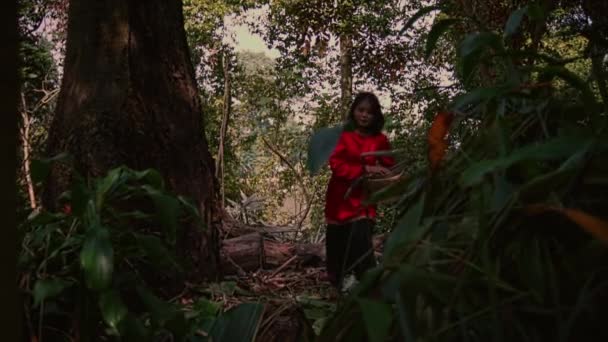 Une Fille Asiatique Robe Rouge Promène Dans Forêt Tout Tenant — Video