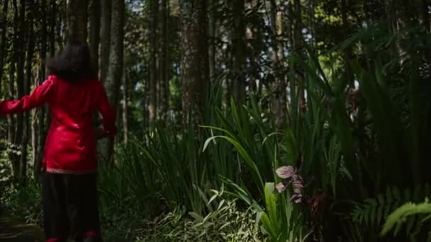 Mujer Asiática Caminando Corriendo Bosque Cerca Del Jardín Día Soleado — Vídeos de Stock