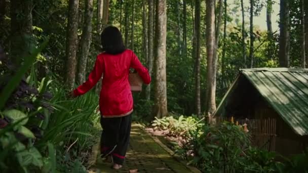 Una Joven Con Impermeable Rojo Caminando Por Bosque Con Una — Vídeo de stock