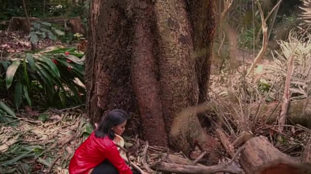 Uma Jovem Mulher Vestido Vermelho Caminha Pela Floresta Traz Lenha — Vídeo de Stock