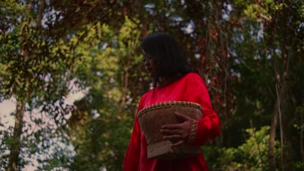 一位身穿红衣服的年轻女子穿过森林 从丛林中的柳条筐里拾柴 — 图库视频影像