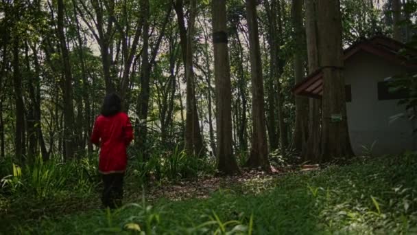 Egy Vörös Esőkabátos Aki Fonott Kosarat Tart Reggel Erdőben Sétál — Stock videók