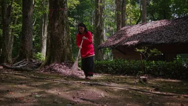Азиатка Красной Рубашке Стоит Стволе Дерева Лесу Подметает Много Листьев — стоковое видео