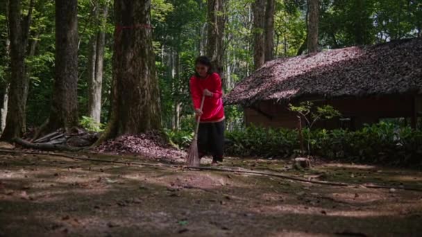 Mulher Asiática Uma Camisa Vermelha Tronco Árvore Floresta Varrendo Monte — Vídeo de Stock