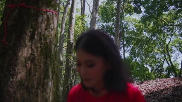Een Vrouw Met Een Rode Jurk Veegt Grond Het Bos — Stockvideo