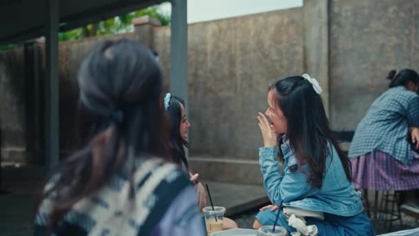 Група Молодих Жінок Зайнята Спілкуванням Своїми Друзями Кафе Вдень — стокове відео