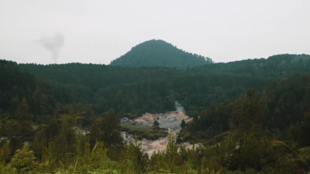 位于森林中央的一个火山口 山上长满了绿树 — 图库视频影像