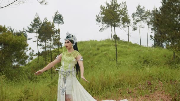 Красивая Принцесса Белом Платье Корона Голове Идущая Лугу Горе — стоковое видео