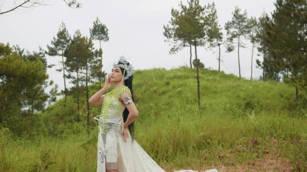 Beyaz Elbiseli Güzel Bir Prenses Kafasında Bir Taç Dağdaki Bir — Stok video