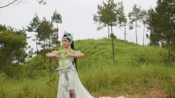 Красивая Принцесса Белом Платье Корона Голове Идущая Лугу Горе — стоковое видео