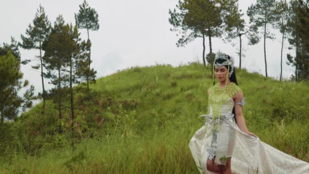 白いドレスを着た美しい姫と頭の上の冠が山の牧草地を歩く — ストック動画