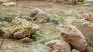 Dağlarda sıcak sülfür suyu ve kayalarla dolu bir volkanik krater.