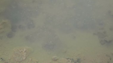 Dağlarda sıcak sülfür suyu ve kayalarla dolu bir volkanik krater.