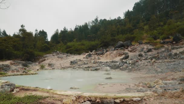 Cratere Pieno Acqua Calda Fumosa Vulcano Circondato Alberi Verdi Mattino — Video Stock