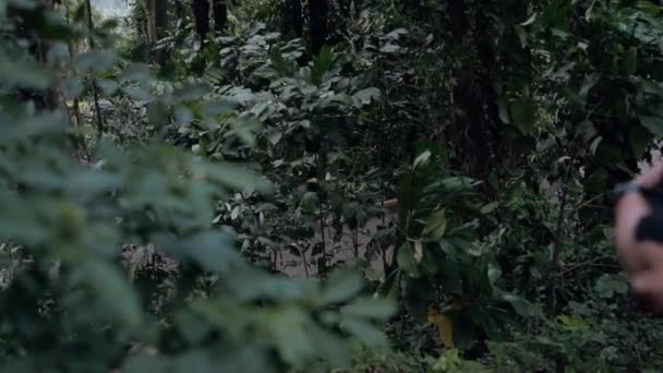 アジア人の男が森の真ん中で一人でハイキングをしている — ストック動画